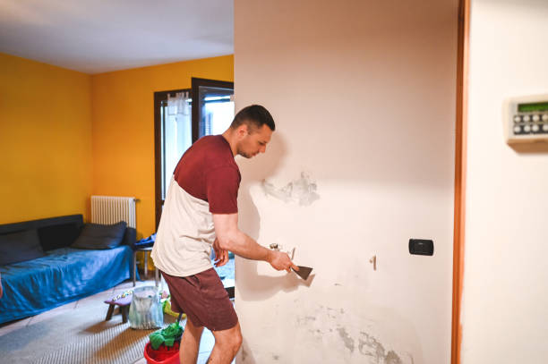 Mold Removal and Inspection in Sells, AZ