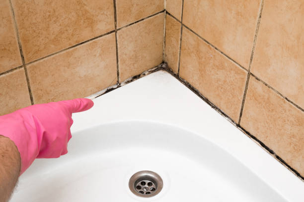 Best Residential Mold Removal  in Sells, AZ